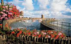 Lynmouth_harbour_blooms.jpg